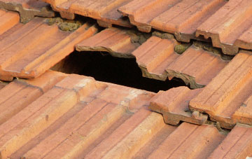 roof repair Hodgehill